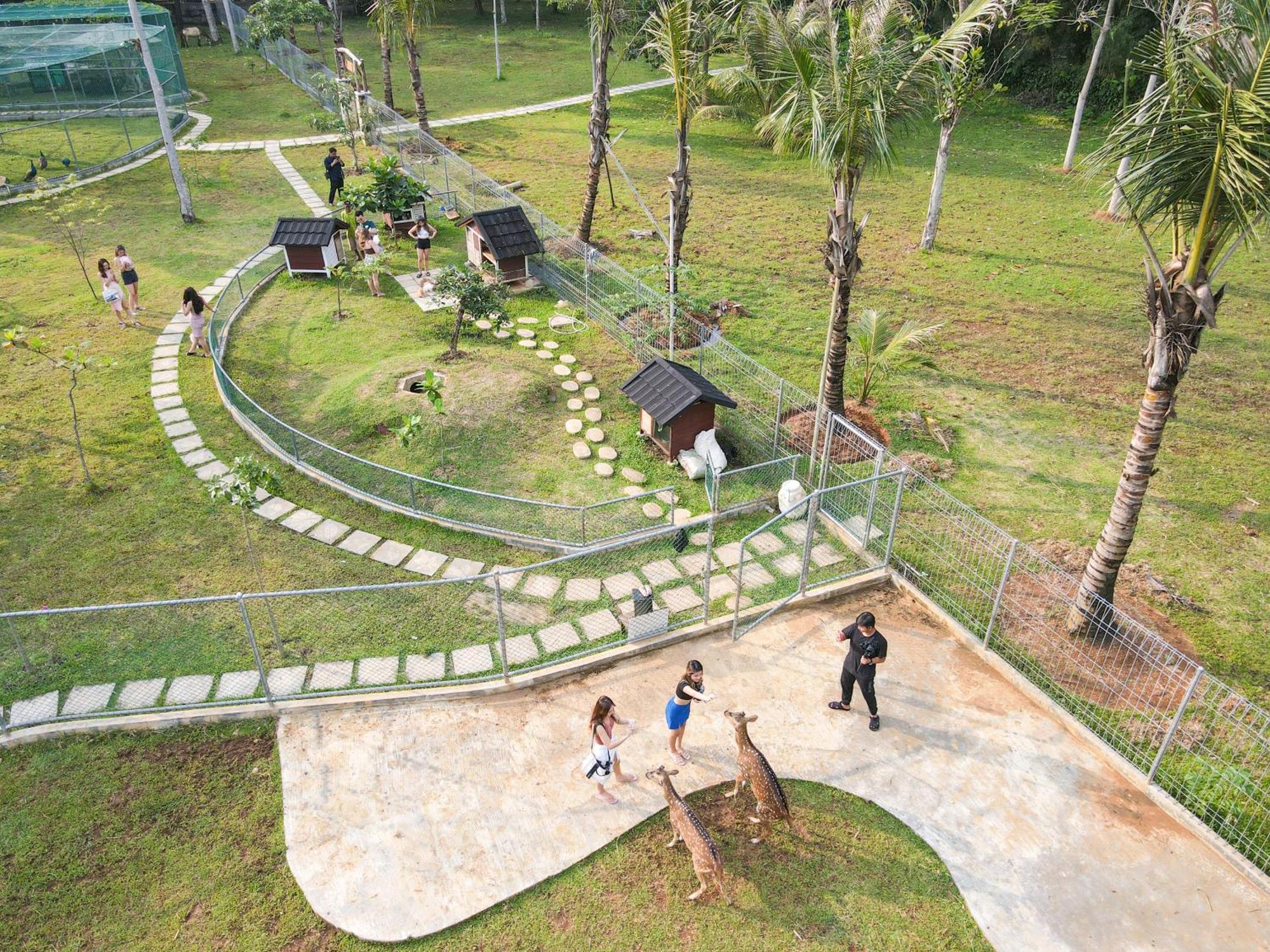 Mutiara Carita Cottages Exterior photo